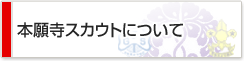 �{�莛�X�J�E�g�ɂ���