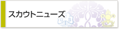 �X�J�E�g�j���[�Y