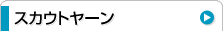 �X�J�E�g���[��